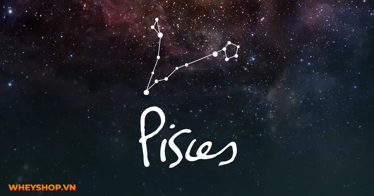 giai-ma-cung-song-ngu-tinh-yeu-tinh-cach-va-su-nghiep-01-min