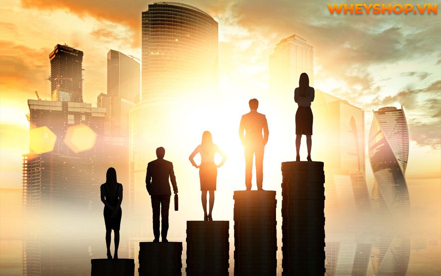 Nếu bạn đang băn khoăn về tính cách, tình yêu và sự nghiệp Cung Sư Tử ra sao thì hãy cùng WheyShop tham khảo chi tiết bài viết...