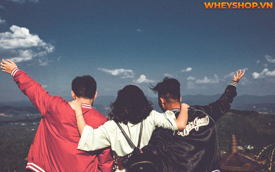 Nếu bạn đang băn khoăn về tính cách, tình yêu và sự nghiệp Cung Sư Tử ra sao thì hãy cùng WheyShop tham khảo chi tiết bài viết...