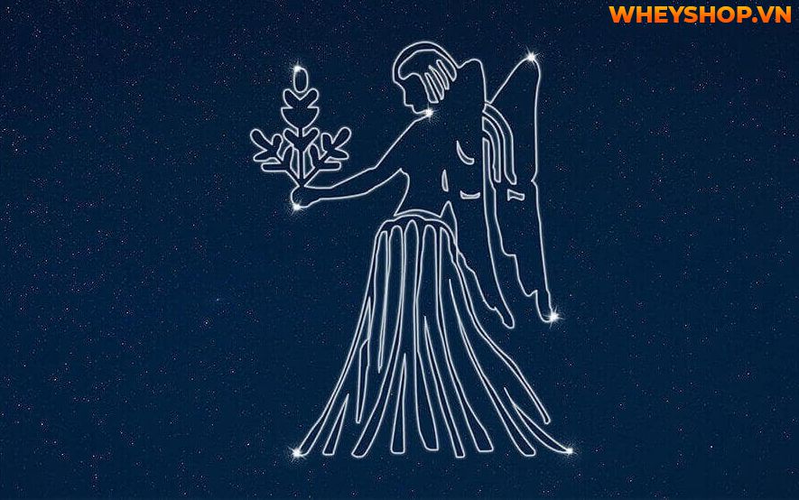 Cung Xử Nữ hay còn gọi là chòm sao Xử Nữ là cung tận tụy nhất trong 12 cung hoàng đạo. Đó là một người biết quan tâm đến người khác, sống thanh lịch và suy...