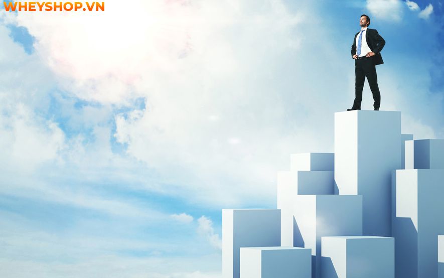 Cung Xử Nữ hay còn gọi là chòm sao Xử Nữ là cung tận tụy nhất trong 12 cung hoàng đạo. Đó là một người biết quan tâm đến người khác, sống thanh lịch và suy...