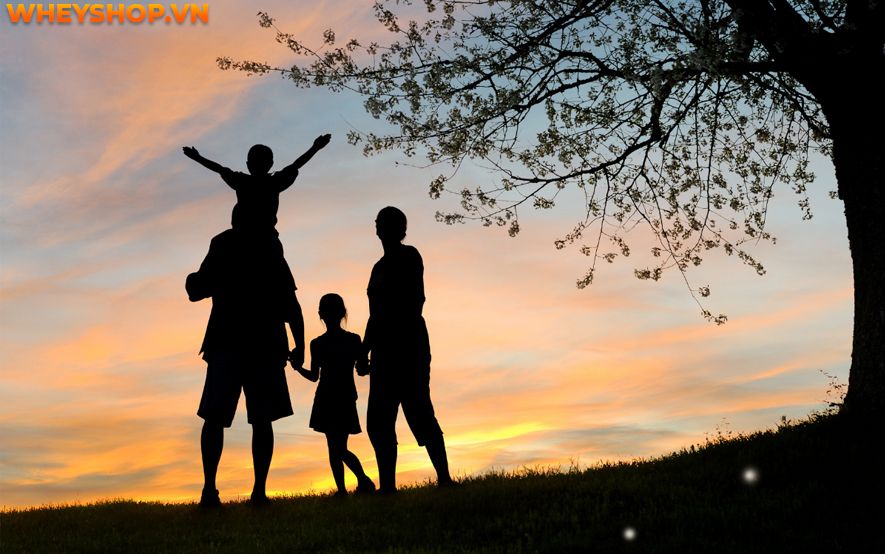 Cung Xử Nữ hay còn gọi là chòm sao Xử Nữ là cung tận tụy nhất trong 12 cung hoàng đạo. Đó là một người biết quan tâm đến người khác, sống thanh lịch và suy...