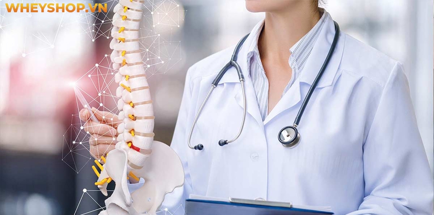 Từ khi ra đời cho đến nay, trường phái Yoga Therapy đã được yêu thích và trở thành một trong những trường phái yoga với nhiều tác dụng đối với sức khỏe con...