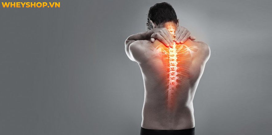 Tư thế Yoga trồng cây chuối hay còn gọi là tư thế lộn ngược, là một trong những tư thế được yêu thích nhất mọi thời đại trong Yoga. Việc lộn ngược này mang...