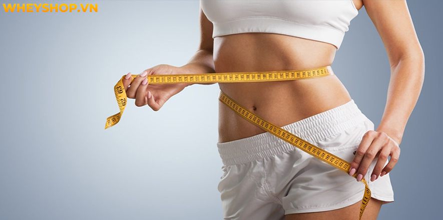 Plank được xem như là bài tập cơ bản và hiệu quả mà bất kỳ người nào tập gym cũng cần phải biết. Tuy nhiên, làm sao để tập Plank giảm cân toàn thân thì lại...