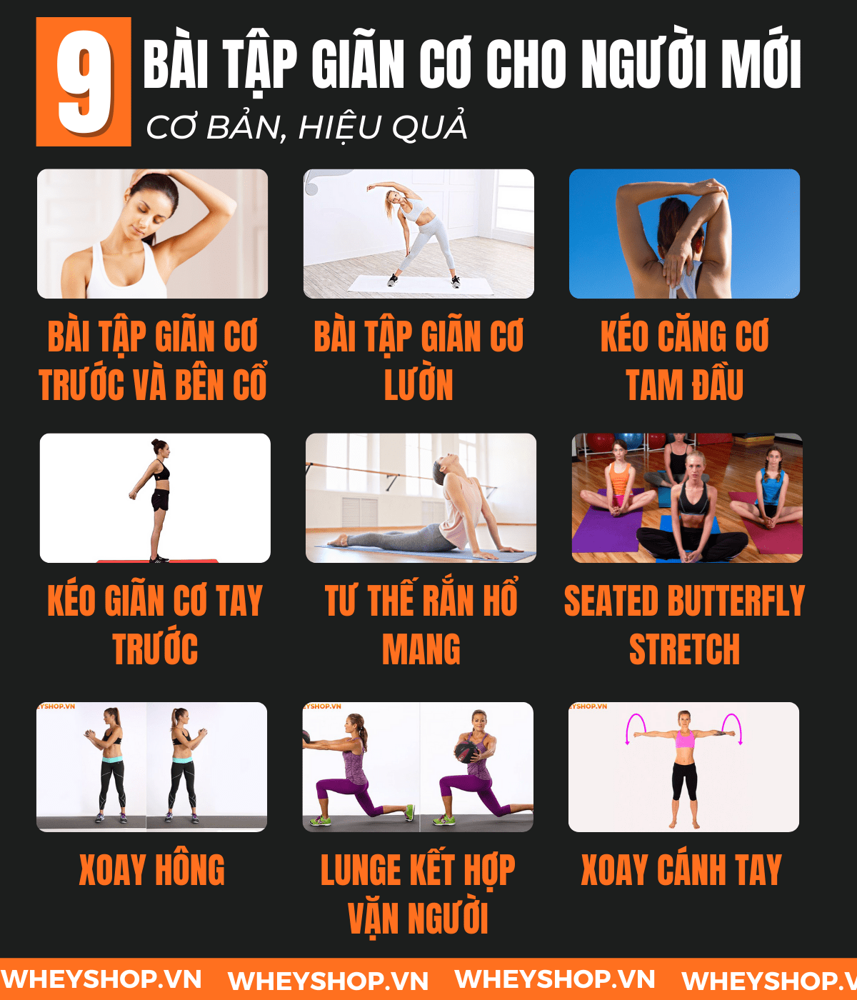 Giãn cơ sau buổi tập là một bước rất quan trọng để tăng thêm hiệu suất của quá trình tập luyện, nhưng rất nhiều người lại bỏ qua giai đoạn này. Vậy giãn cơ...