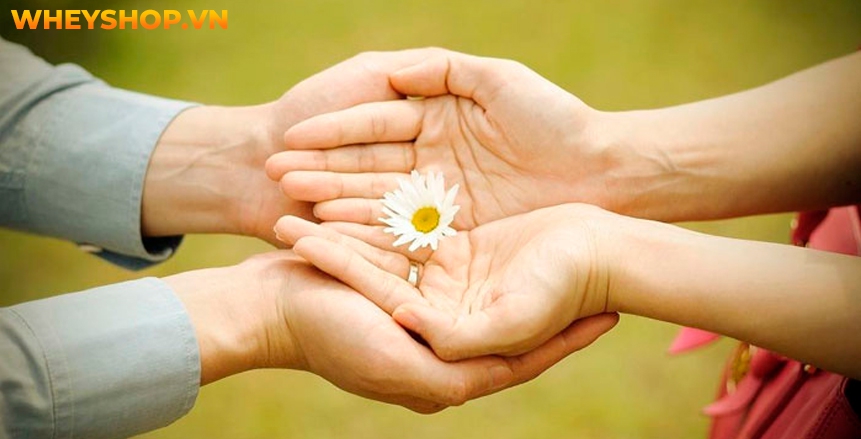 Yoga khỏa thân vốn là một khái niệm không quá mới mẻ, nhưng nhờ vào mạng xã hội hay tiêu biểu hơn là Instagram mà nó đang trở thành một trào lưu được nhiều...