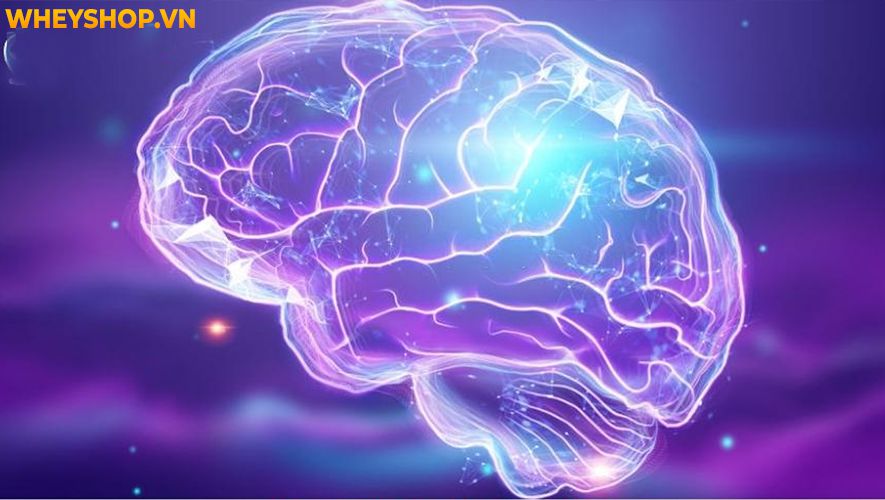 Bạn đang có ý định theo tập Yoga và thắc mắc không biết, tham gia tập Yoga có tác dụng gì và lợi ích cụ thể gì cho sức khỏe tinh thần của mỗi người chúng ta...