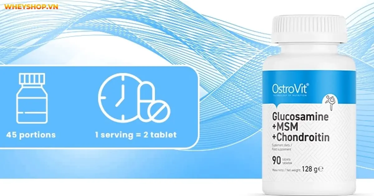 glucosamine-chondroitin-msm-la-gi-3