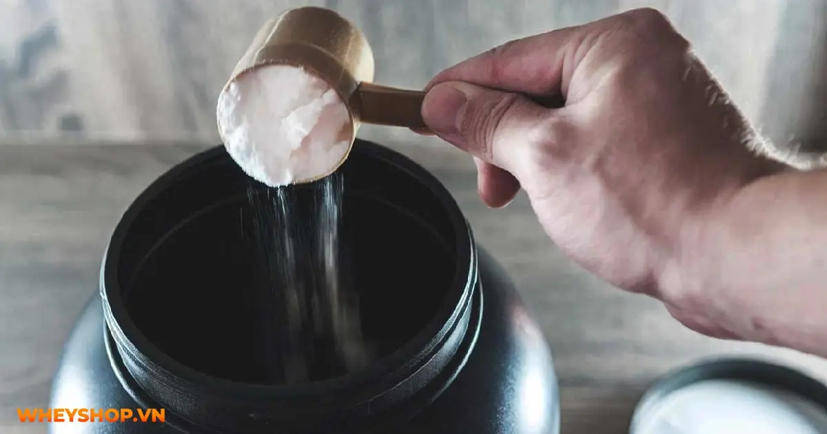 glutamine-la-gi-03-min