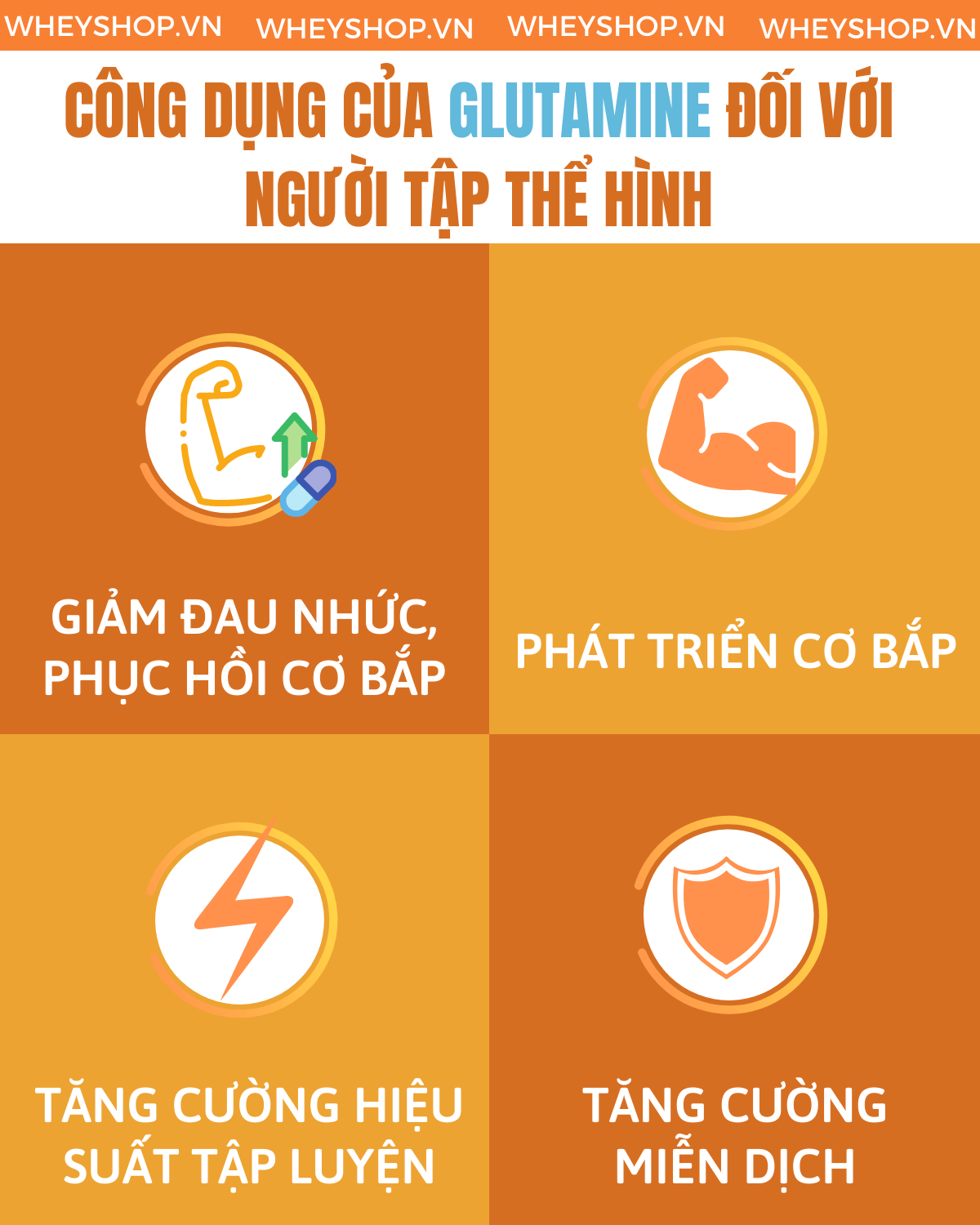 Tìm hiểu khái niệm Glutamine là gì ? Tìm hiểu về lợi ích, cách sử dụng và tác hại của Glutamine đối với người tập gym, tập thể hình.