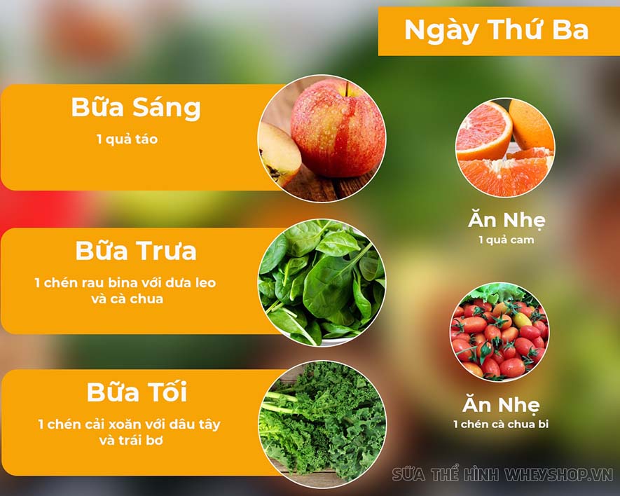 GM Diet là phương pháp giảm cân quen thuộc của rất nhiều người bởi hiệu quả giảm cân nhanh, an toàn với sức khỏe. Tìm hiểu ngay các bước thực hiện GM Diet nhé