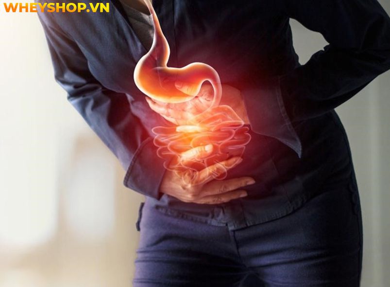 Lactose là gì ? Tìm hiểu khái niệm về Lactose và cách khắc phục các trường hợp tiêu chảy đi ngoài khi sử dụng Whey Mass có chứa thành phần Lactose...