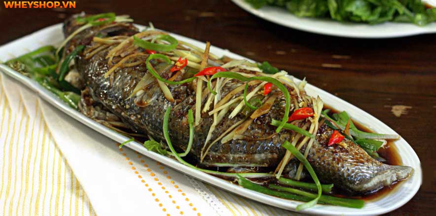 Nếu bạn đang băn khoăn ăn cá có mập không thì hãy cùng WheyShop tìm hiểu 100g cá bao nhiêu calo để giải đáp thắc mắc qua bài viết...