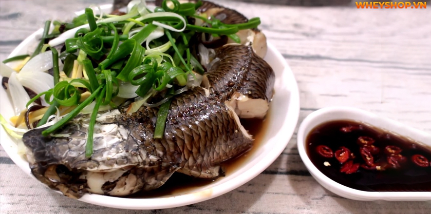 Nếu bạn đang băn khoăn ăn cá có mập không thì hãy cùng WheyShop tìm hiểu 100g cá bao nhiêu calo để giải đáp thắc mắc qua bài viết...