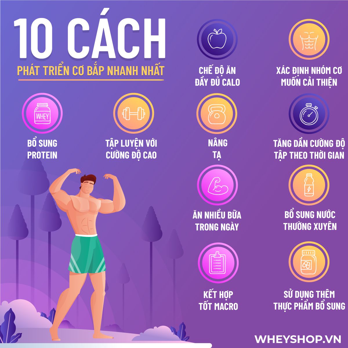 Nếu bạn đang phân vân tìm cách để tăng cơ bắp nhanh chóng, hiệu quả thì hãy cùng tham khảo 10 cách tăng cơ bắp qua bài viết của WheyShop...