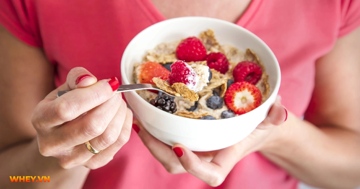 goi-y-11-san-pham-ngu-coc-an-kieng-chat-luong-cao