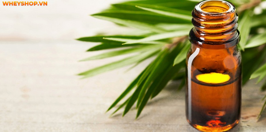 Mụn luôn là "kẻ thù" của nhiều chị em phụ nữ. Vậy làm cách nào để hết mụn? Bài viết dưới đây sẽ bật mí 25 cách làm hết mụn tại nhà hiệu quả, đơn giản, dễ...