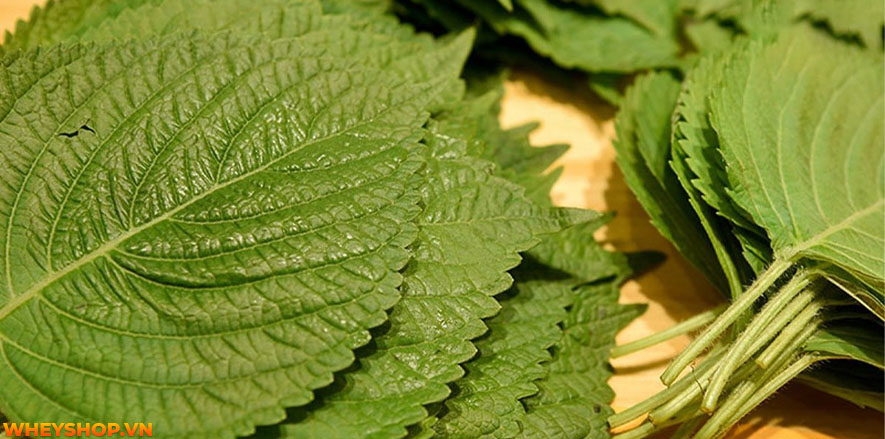 Mụn luôn là "kẻ thù" của nhiều chị em phụ nữ. Vậy làm cách nào để hết mụn? Bài viết dưới đây sẽ bật mí 25 cách làm hết mụn tại nhà hiệu quả, đơn giản, dễ...