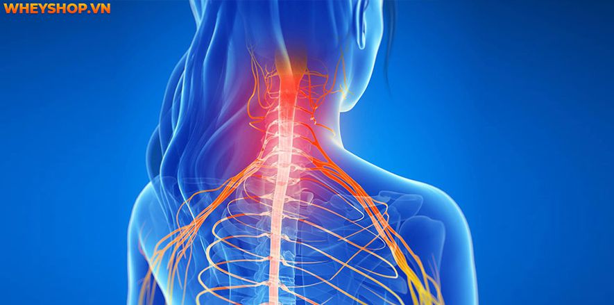 Đau cổ bên trái khiến người bệnh vô cùng khó chịu và phiền toái. Vậy nguyên nhân nào gây ra bệnh đau cổ bên trái, cách chữa trị và phòng tránh có nguy hiểm...