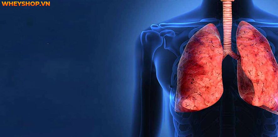 Đau cổ bên trái khiến người bệnh vô cùng khó chịu và phiền toái. Vậy nguyên nhân nào gây ra bệnh đau cổ bên trái, cách chữa trị và phòng tránh có nguy hiểm...