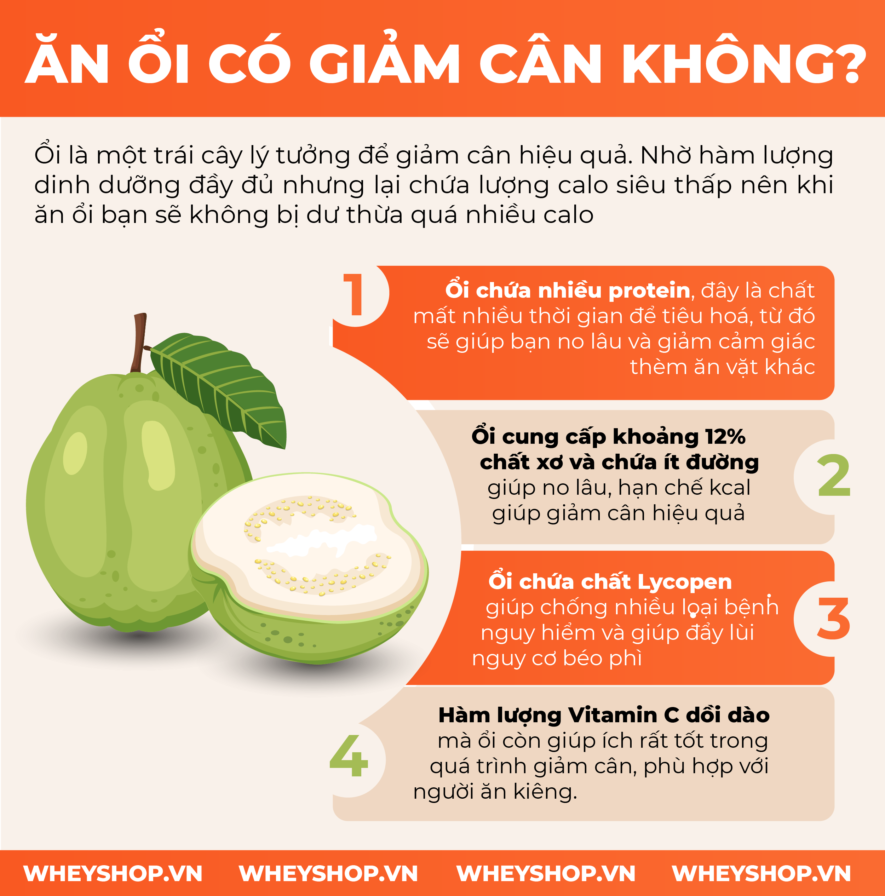 Cùng WheyShop tìm hiểu 100g, 1 quả Ổi bao nhiêu calo? Ăn Ổi có giảm cân hiệu quả không qua bài viết chi tiết, đầy đủ ngay sau đây nhé...