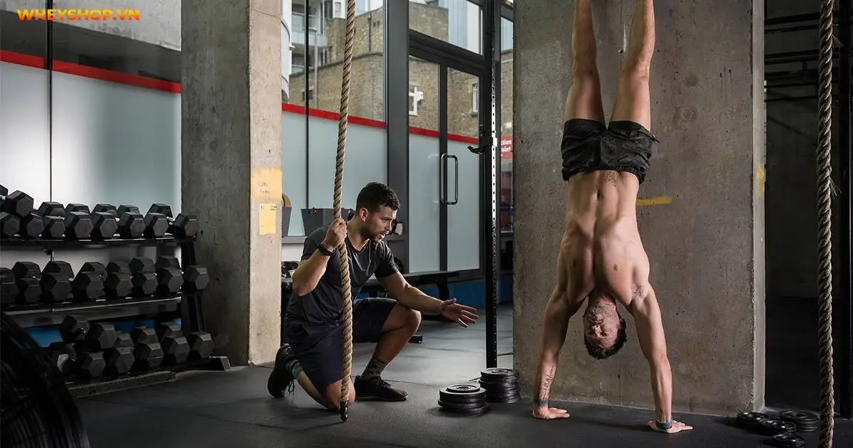 handstand-la-gi-loi-ich-va-cach-tap-handstand-hieu-qua-5