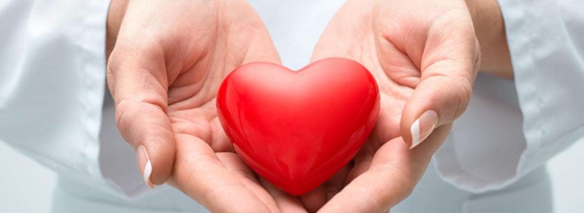 Chuối là loại thực phẩm quen thuộc hằng ngày. Tìm hiểu ngày 10 lợi ích từ việc ăn chuối hằng ngày mà bạn chưa biết tới qua bài viết ...