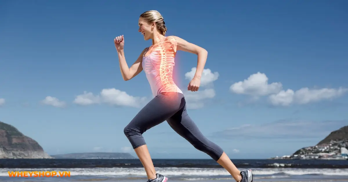 hat-macca-la-gi-04-min