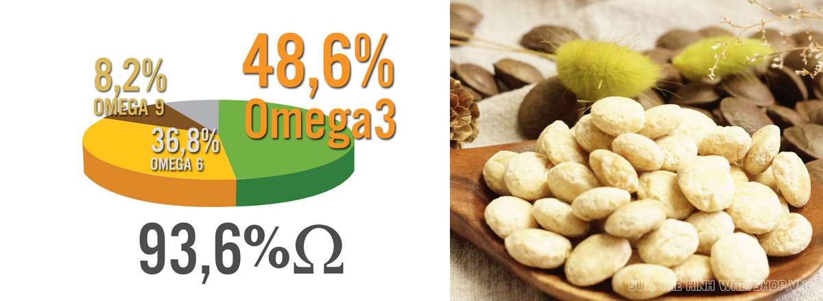 hat sa chi la gi loi ich cua hat sa chi doi voi suc khoe gia tri dinh duong