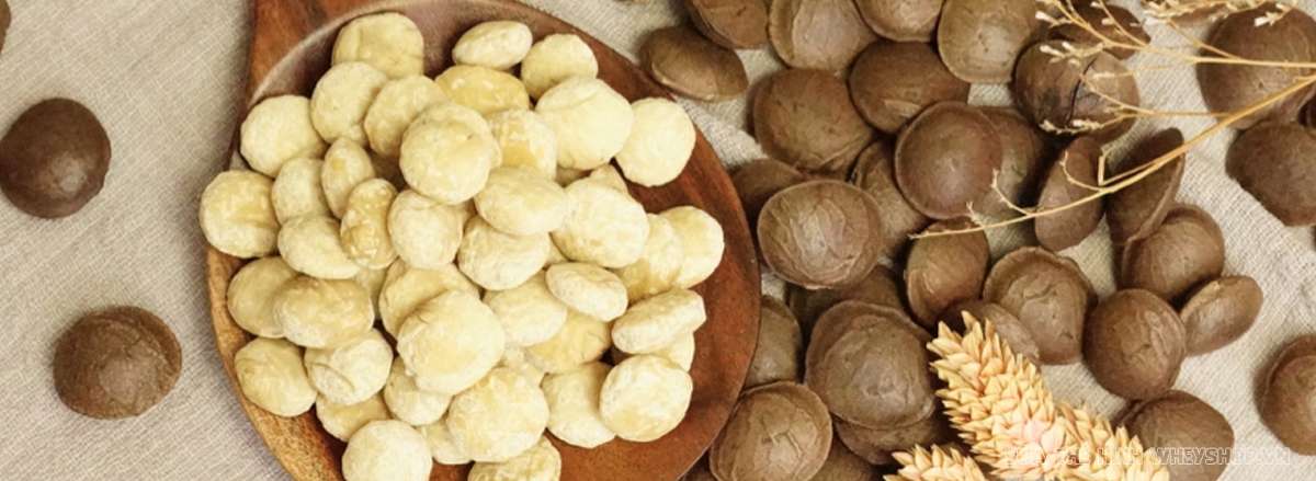 hat sa chi la gi loi ich cua hat sa chi doi voi suc khoe loi ich