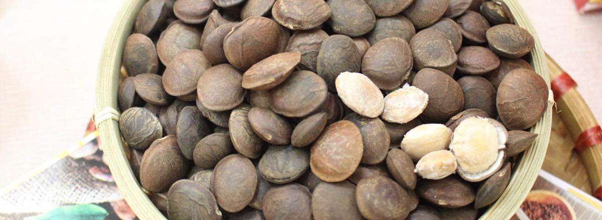 hat sa chi la gi loi ich cua hat sa chi doi voi suc khoe