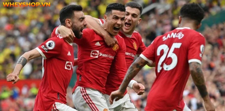 Chắc hẳn bạn đã từng nghe từ “Hat Trick” trong những trận đấu thể thao như bóng đá hay khúc côn cầu. Vậy cú Hat Trick là gì? Hãy cùng WheyShop tìm hiểu....