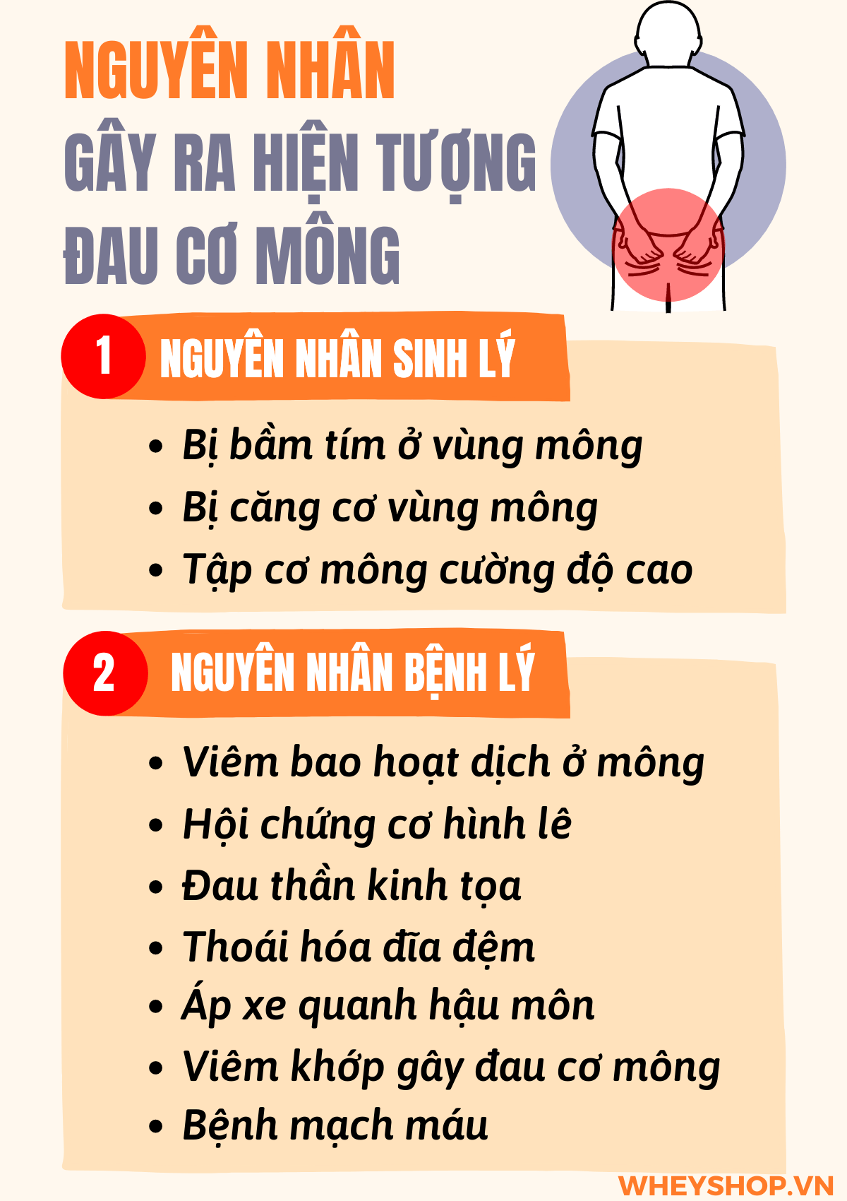 Hiện tượng đau cơ mông từ nhẹ đến nặng ở mông làm giảm sức mạnh của đôi chân và ảnh hưởng đến chất lượng cuộc sống của người bệnh. Nguyên nhân của cơn đau...