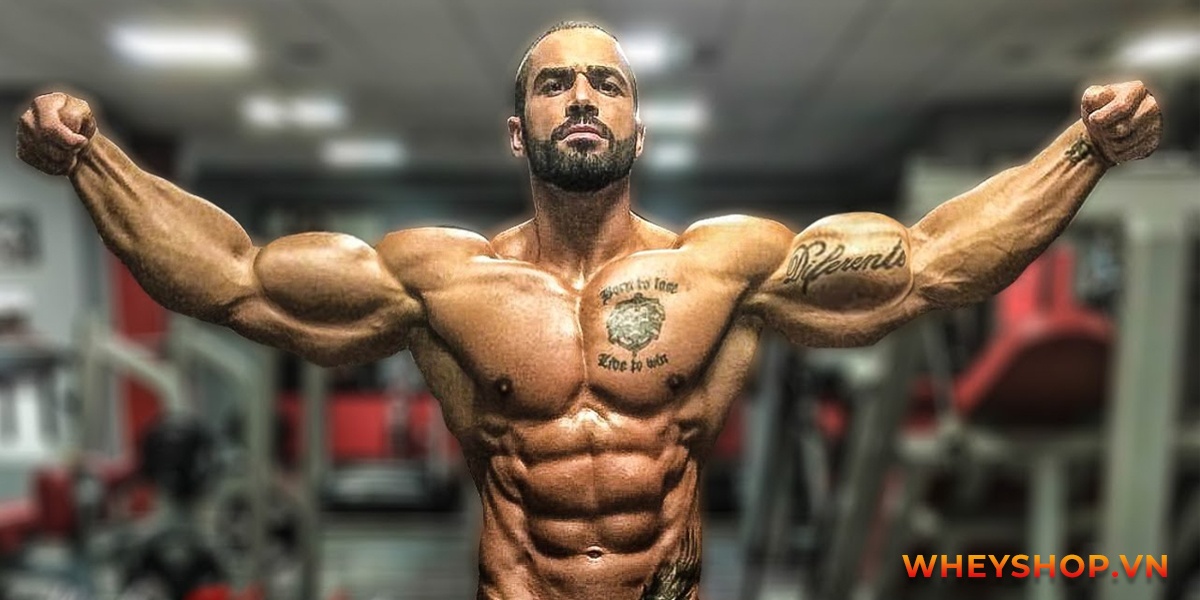 HLV thể hình hàng đầu trên thế giới, người có cơ bụng đẹp nhất thể giới - Lazar Angelov, anh ấy là ai ? chúng ta hãy cùng tìm hiểu nhé