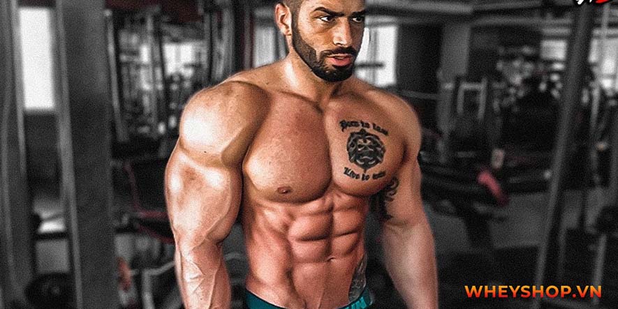HLV thể hình hàng đầu trên thế giới, người có cơ bụng đẹp nhất thể giới - Lazar Angelov, anh ấy là ai ? chúng ta hãy cùng tìm hiểu nhé