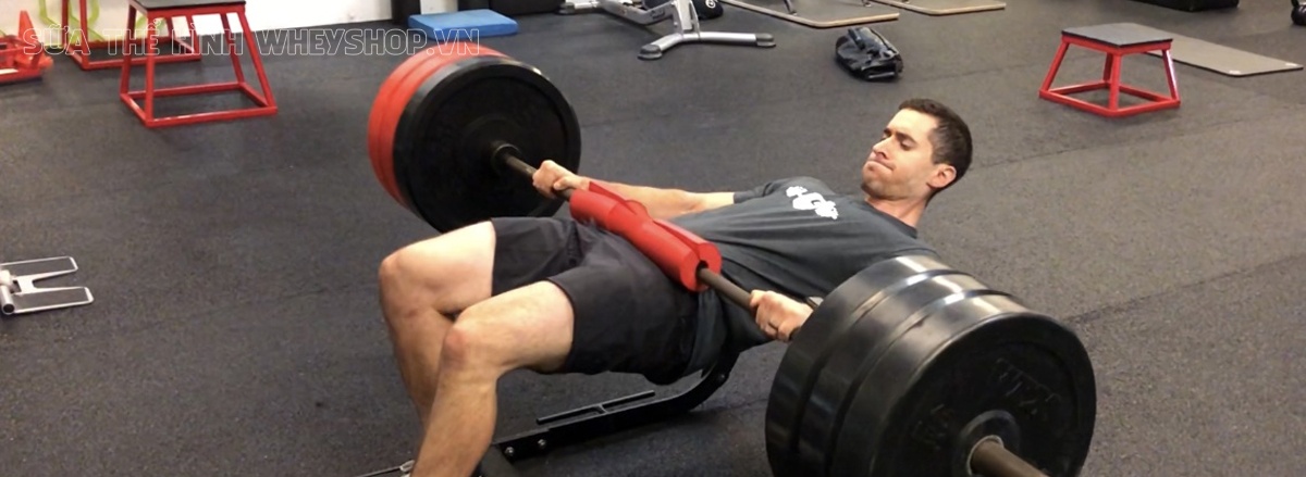 Hip Thrust là bài tập quen thuộc tác động vào phần mông, phát triển vòng 3 hiệu quả. Cùng tìm hiểu cách tập Hip Thrust tăng vòng 3 tại nhà đơn giản, hiệu quả...