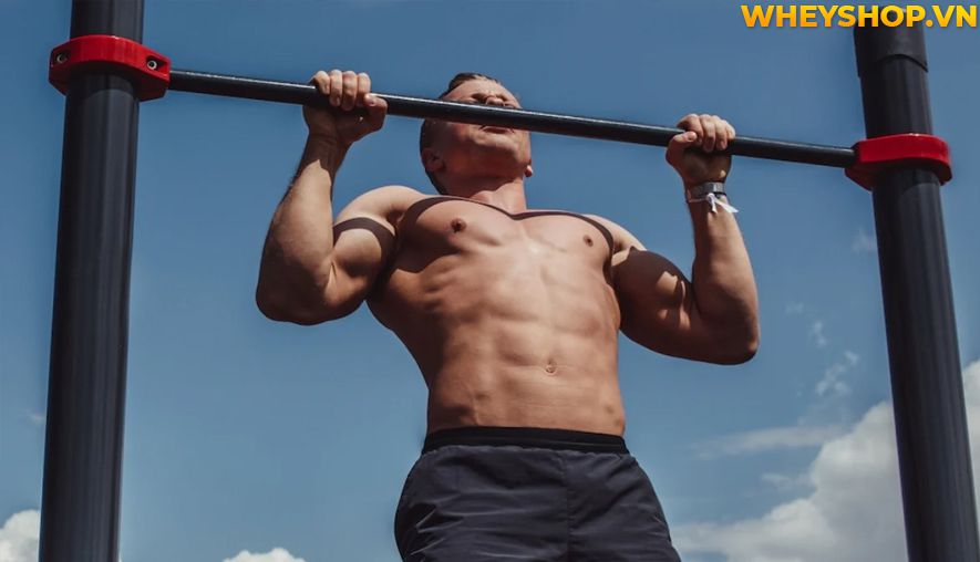 Nếu bạn đang băn khoăn hít xà đơn có tác dụng gì thì hãy cùng WheyShop tìm hiểu 10 tác dụng của hít xà đơn qua bài viết...