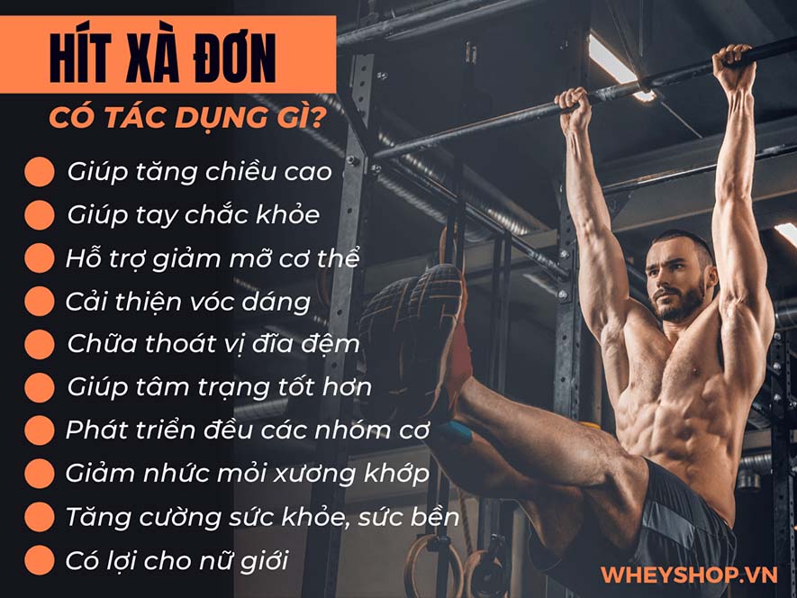 Nếu bạn đang băn khoăn hít xà đơn có tác dụng gì thì hãy cùng WheyShop tìm hiểu 10 tác dụng của hít xà đơn qua bài viết...