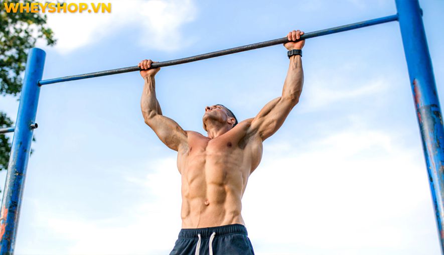 Nếu bạn đang băn khoăn hít xà đơn có tác dụng gì thì hãy cùng WheyShop tìm hiểu 10 tác dụng của hít xà đơn qua bài viết...