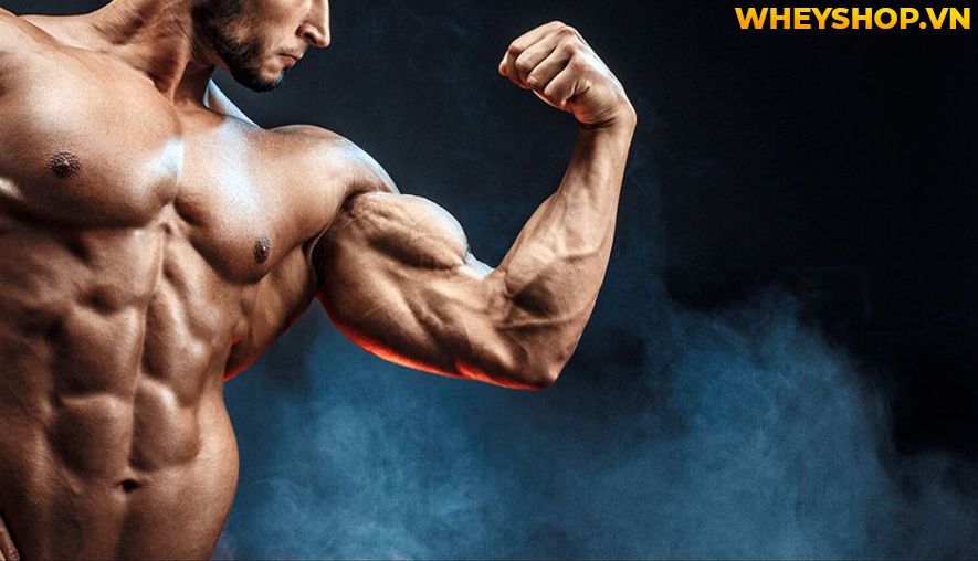 Nếu bạn đang băn khoăn hít xà đơn có tác dụng gì thì hãy cùng WheyShop tìm hiểu 10 tác dụng của hít xà đơn qua bài viết...