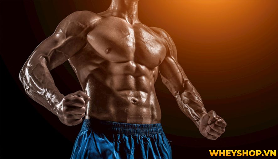 Nếu bạn đang băn khoăn hít xà đơn có tác dụng gì thì hãy cùng WheyShop tìm hiểu 10 tác dụng của hít xà đơn qua bài viết...