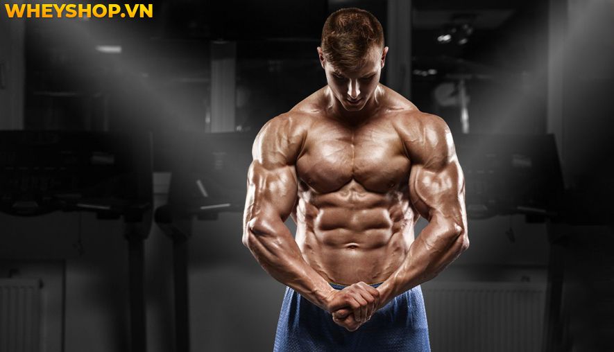 Nếu bạn đang băn khoăn hít xà đơn có tác dụng gì thì hãy cùng WheyShop tìm hiểu 10 tác dụng của hít xà đơn qua bài viết...