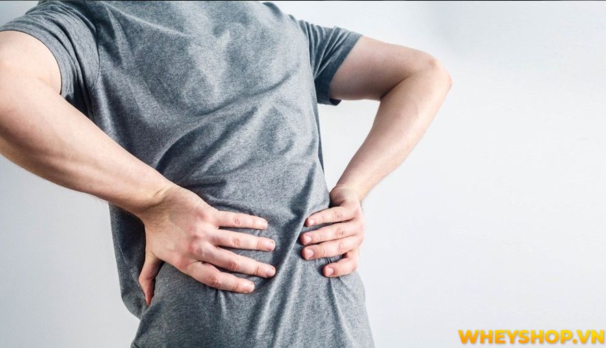 Nếu bạn đang băn khoăn hít xà đơn có tác dụng gì thì hãy cùng WheyShop tìm hiểu 10 tác dụng của hít xà đơn qua bài viết...