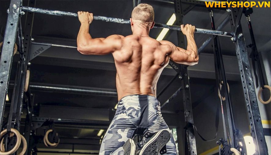 Nếu bạn đang băn khoăn hít xà đơn có tác dụng gì thì hãy cùng WheyShop tìm hiểu 10 tác dụng của hít xà đơn qua bài viết...