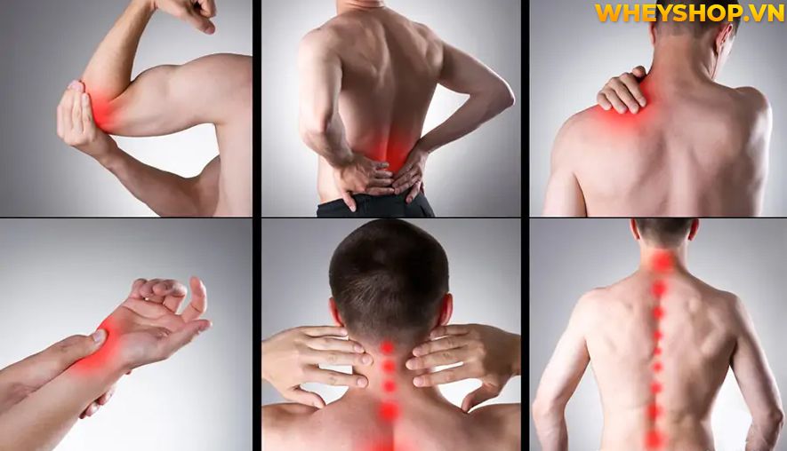 Nếu bạn đang băn khoăn hít xà đơn có tác dụng gì thì hãy cùng WheyShop tìm hiểu 10 tác dụng của hít xà đơn qua bài viết...