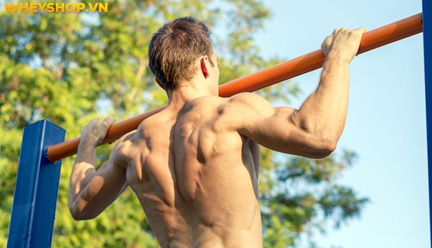 Nếu bạn đang băn khoăn hít xà đơn có tác dụng gì thì hãy cùng WheyShop tìm hiểu 10 tác dụng của hít xà đơn qua bài viết...