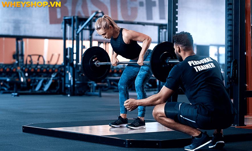 Nếu bạn đang băn khoăn có nên học huấn luyện viên thể hình không thì hãy cùng WheyShop tham khảo chi tiết bài viết...