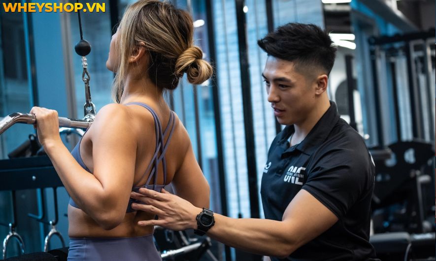 Nếu bạn đang băn khoăn có nên học huấn luyện viên thể hình không thì hãy cùng WheyShop tham khảo chi tiết bài viết...