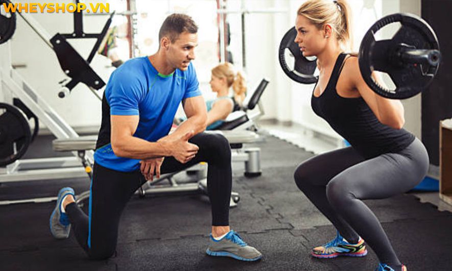 Nếu bạn đang băn khoăn có nên học huấn luyện viên thể hình không thì hãy cùng WheyShop tham khảo chi tiết bài viết...
